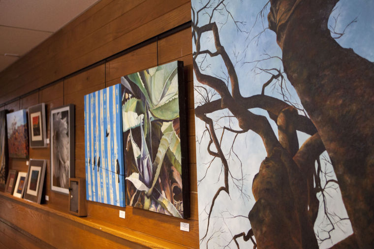 TUHSD Art Show